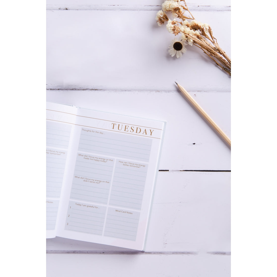 Stationery: Mind Notes 6-Month Daily Wellbeing Journal by LSW