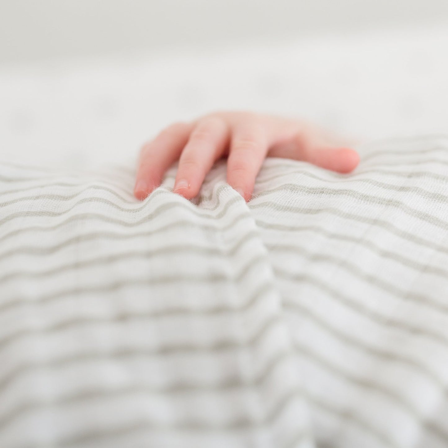 Baby:  Organic Muslin Swaddle Blanket - Single